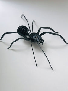 Araña Negra